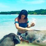 Pig Island Tours Koh Samui