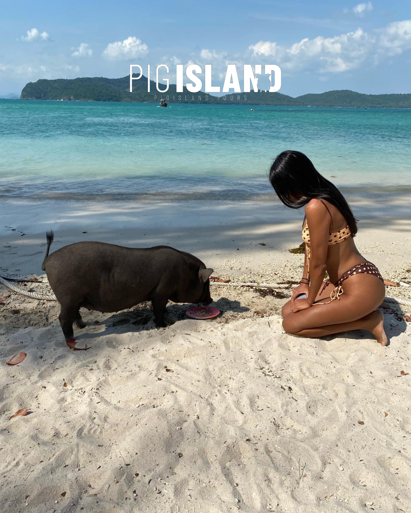 Pigislandkohsamuitours 152