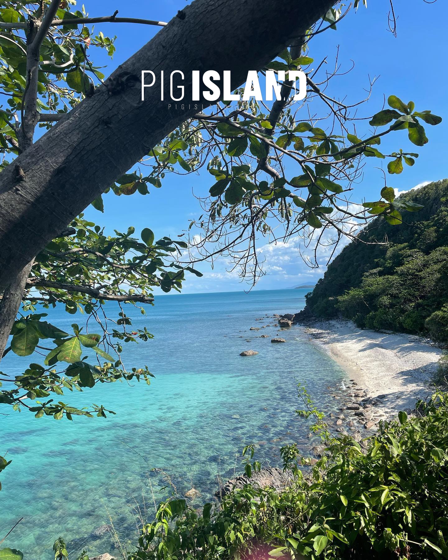 pig island koh samui koh madsum beach