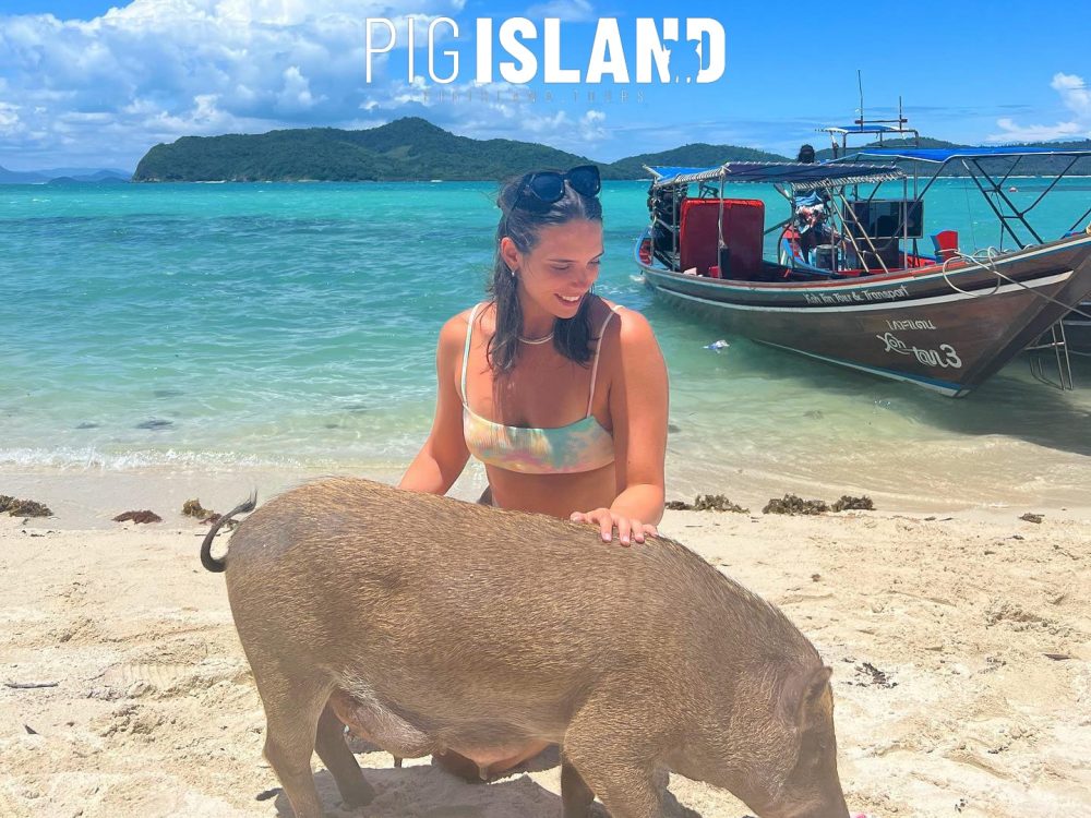 bateau privé à queue longue de l'île aux cochons