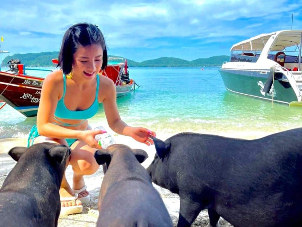 speed boat tour pig island koh samui beach