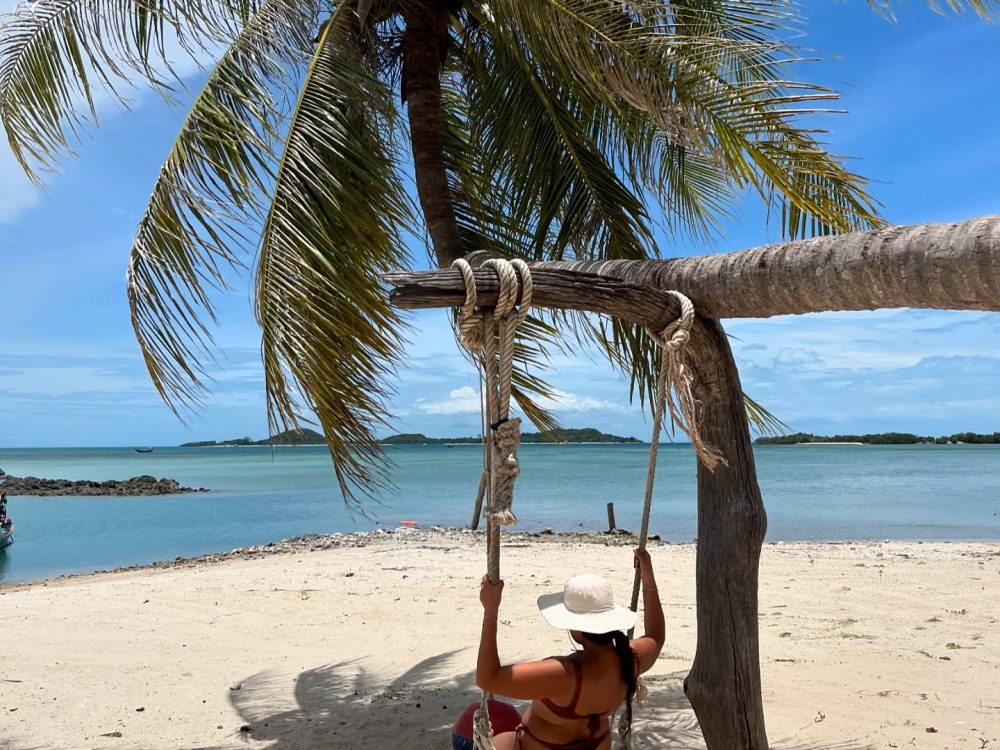 pig island koh samui (12)