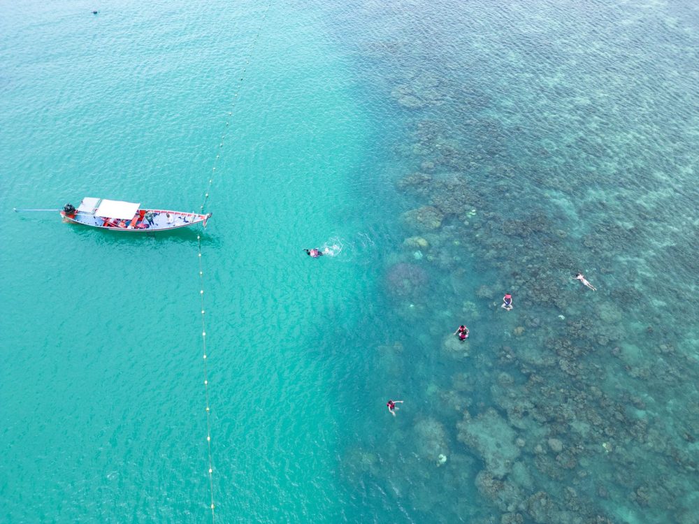 pig island snorkeling