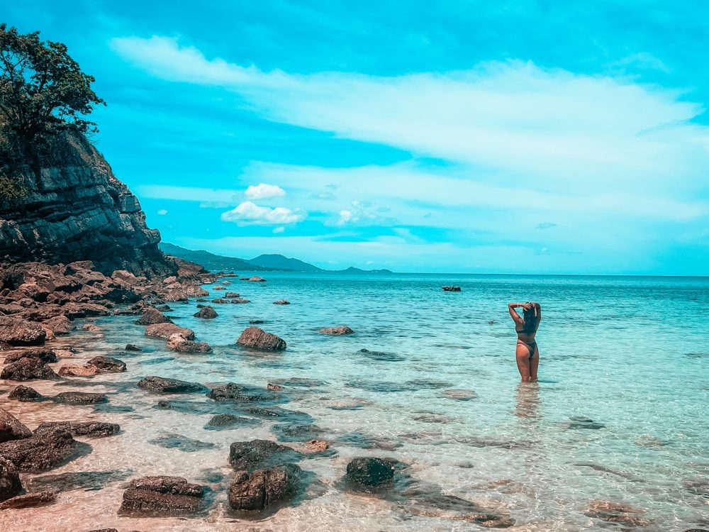pigislandtours (4)